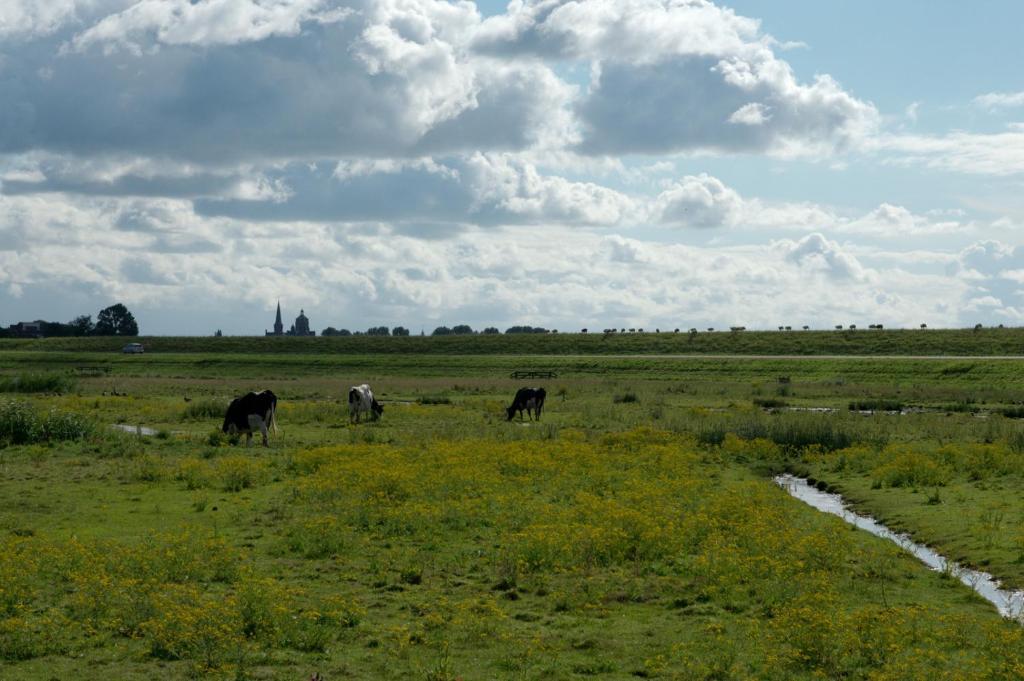 B&B Posthoorn Hoorn  Esterno foto